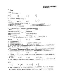 +四川省攀枝花市实验学校2023-2024学年九年级数学下学期一模数学试卷