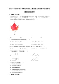 2023—2024学年下学期初中数学人教新版九年级期中必刷常考题之图形的相似