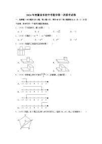 2024年安徽省多校中考数学第一次联考试卷