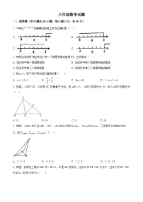 山东省菏泽市鲁西新区2023-2024学年八年级下学期下学期3月月考数学试题（原卷版+解析版）