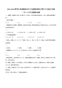 2023-2024学年江苏省南京市江宁区南京师范大学江宁分校九年级（下）3月月考数学试卷（含解析）