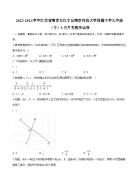 2023-2024学年江苏省南京市江宁区南京师范大学附属中学九年级（下）3月月考数学试卷（含解析）