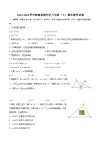 2023-2024学年海南省儋州市八年级（上）期末数学试卷（含详细答案解析）