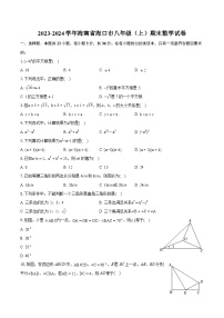 2023-2024学年海南省海口市八年级（上）期末数学试卷（含详细答案解析）