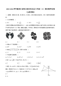 2023-2024学年黑龙江省哈尔滨市松北区八年级（上）期末数学试卷（五四学制）（含详细答案解析）