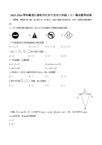 2023-2024学年黑龙江省牡丹江市宁安市八年级（上）期末数学试卷（含详细答案解析）