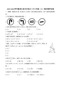 2023-2024学年黑龙江省齐齐哈尔三中八年级（上）期末数学试卷（含详细答案解析）