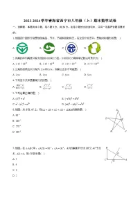 2023-2024学年青海省西宁市八年级（上）期末数学试卷（含详细答案解析）