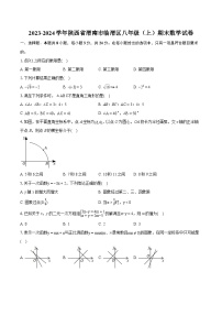 2023-2024学年陕西省渭南市临渭区八年级（上）期末数学试卷（含详细答案解析）