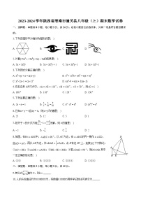 2023-2024学年陕西省渭南市潼关县八年级（上）期末数学试卷（含详细答案解析）