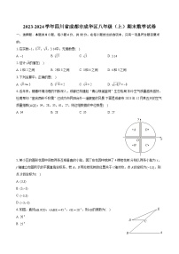 2023-2024学年四川省成都市成华区八年级（上）期末数学试卷（含详细答案解析）