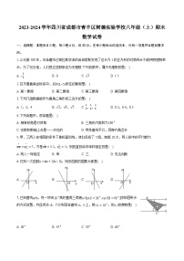 2023-2024学年四川省成都市青羊区树德实验学校八年级（上）期末数学试卷（含详细答案解析）