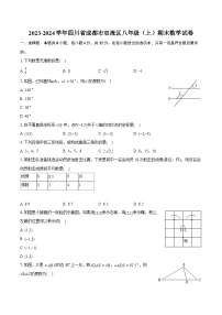 2023-2024学年四川省成都市双流区八年级（上）期末数学试卷（含详细答案解析）