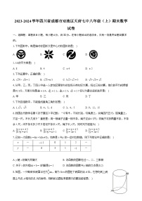 2023-2024学年四川省成都市双流区天府七中八年级（上）期末数学试卷（含详细答案解析）