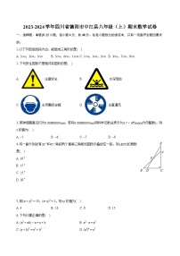 2023-2024学年四川省德阳市中江县八年级（上）期末数学试卷（含详细答案解析）