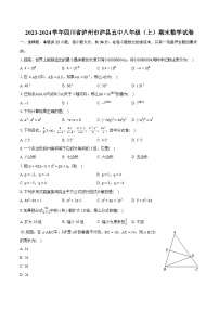 2023-2024学年四川省泸州市泸县五中八年级（上）期末数学试卷（含详细答案解析）