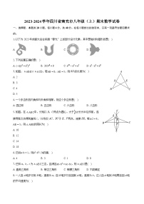 2023-2024学年四川省南充市八年级（上）期末数学试卷（含详细答案解析）
