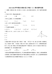 2023-2024学年重庆市城口县八年级（上）期末数学试卷（含详细答案解析）