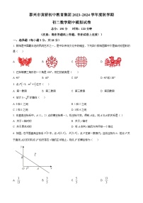 江苏省泰州市泰兴市黄桥初级中学八年级2023-2024学年上学期期中数学模拟试题