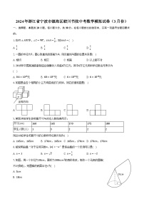 2024年浙江省宁波市镇海区蛟川书院中考数学模拟试卷（3月份）（含解析）