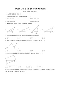 中考数学一轮考点复习精讲精练专题13 三角形与多边形的有关概念及性质【考点巩固】（2份打包，原卷版+解析版）