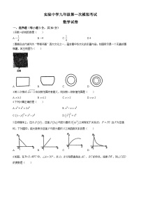 2024年广东省湛江市霞山区实验中学中考一模数学试题(无答案)