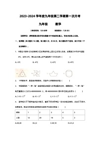 广东省惠州市惠阳区华南师范大学附属学校2023-2024学年九年级下学期第一次月考数学试题