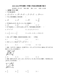 湖北省武汉市光谷未来学校2023-2024学年八年级下学期月考数学试题(无答案)