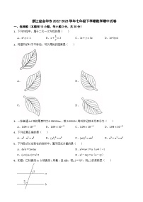 浙江省金华市2022—2023学年七年级下学期数学期中试卷