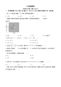 山东省潍坊市高密市2023-2024学年七年级下学期3月月考数学试题（原卷版+解析版）