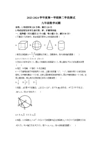 山东省烟台市招远市（五四制）2024届九年级上学期期末考试数学试卷(含答案)