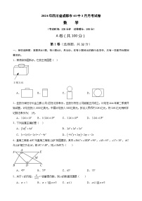 四川省成都市第四十三中学校2023-2024学年九年级下学期3月月考数学试题