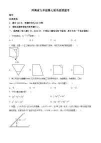 2024年河南省濮阳市南乐县中考一模数学模拟试题（原卷版+解析版）