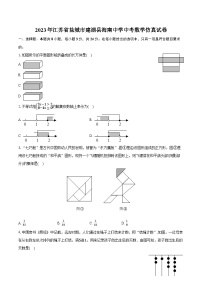 2023年江苏省盐城市建湖县海南中学中考数学仿真试卷（含解析）