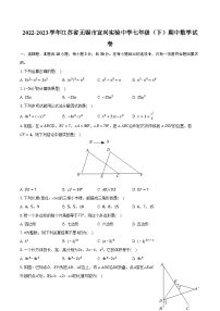 2022-2023学年江苏省无锡市宜兴实验中学七年级（下）期中数学试卷（含解析）