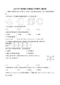 2023年广东省湛江市麻章区中考数学三模试卷（含解析）