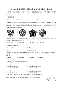 2023年广东省深圳市光明区李松蓢学校中考数学三模试卷（含解析）