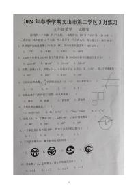 云南省文山州文山市第二学区2023—2024学年下学期3月练习九年级数学试卷