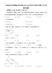 山东省枣庄市峄城区东方学校2023-2024学年七年级下学期3月月考数学试题（原卷版+解析版）