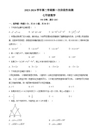 山东省青岛市胶州市瑞华实验初级中学2023-2024学年七年级下学期3月月考数学试题（原卷版+解析版）