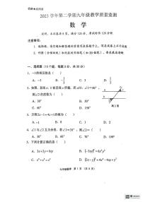 2024年广东省佛山市顺德区九年级下学期一模数学试卷