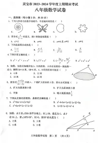 河南省三门峡市灵宝市2023-2024学年八年级上学期1月期末数学试题