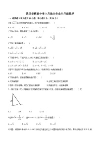 湖北省武汉市解放中学2023-2024学年八年级下学期月考数学试题(无答案)