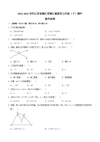 江苏省镇江市镇江高新区2022-2023学年七年级下学期期中数学试卷（含解析）