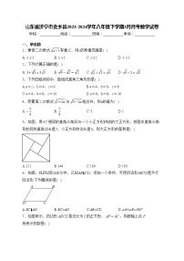 山东省济宁市金乡县2023-2024学年八年级下学期3月月考数学试卷(含答案)