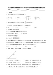 山东省泰安市肥城市2022-2023学年七年级下学期期中数学试卷(含答案)