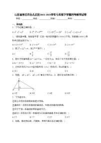 山东省枣庄市台儿庄区2022-2023学年七年级下学期月考数学试卷(含答案)