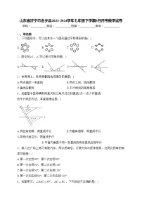 山东省济宁市金乡县2023-2024学年七年级下学期3月月考数学试卷(含答案)