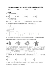 山东省枣庄市峄城区2022-2023学年九年级下学期期中数学试卷(含答案)