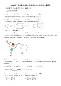 2024年广东省湛江市霞山区乐群学校中考一模数学试题（含解析）